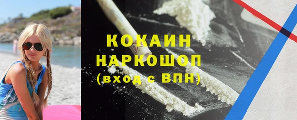шишки Балабаново