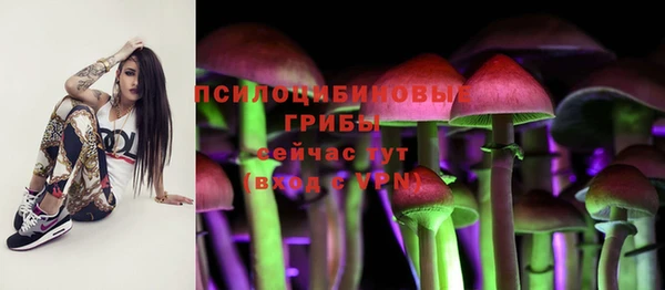 мяу мяу мука Балахна