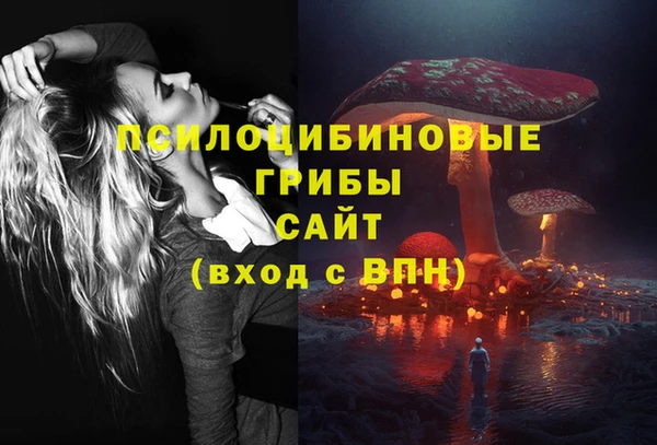шишки Балабаново