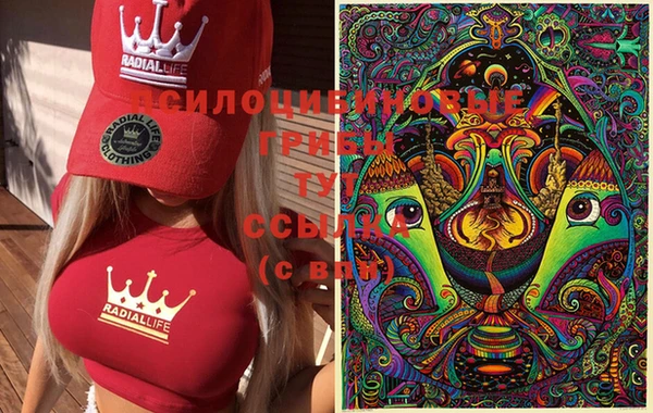 мяу мяу мука Балахна