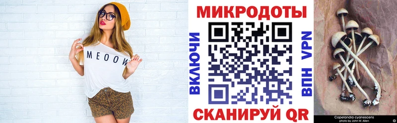 где можно купить   Краснокаменск  Галлюциногенные грибы мицелий 