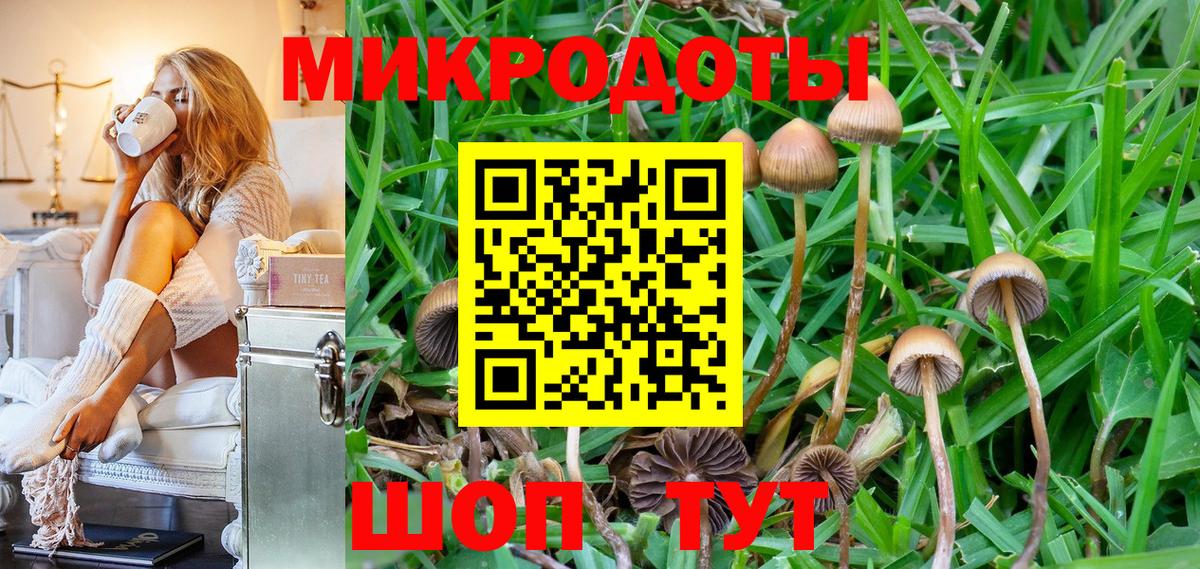 Галлюциногенные грибы Cubensis  Псилоцибиновые грибы прущие грибы  Краснокаменск  Вход с VPN 